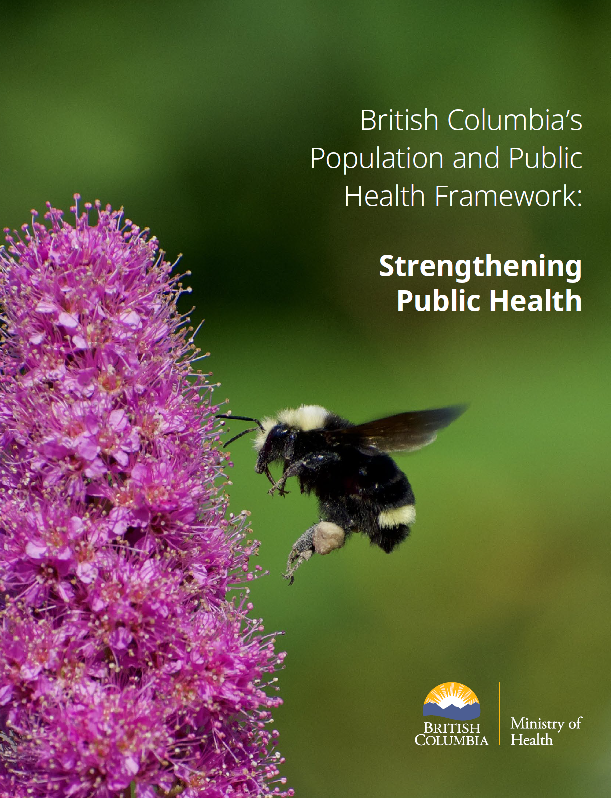 A close-up of a bumblebee hovering near a purple flower, with the title 'British Columbia’s Population and Public Health Framework: Strengthening Public Health' and logos of British Columbia and the Ministry of Health in the bottom right corner.